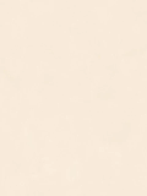 INSIDEART COLOR Light